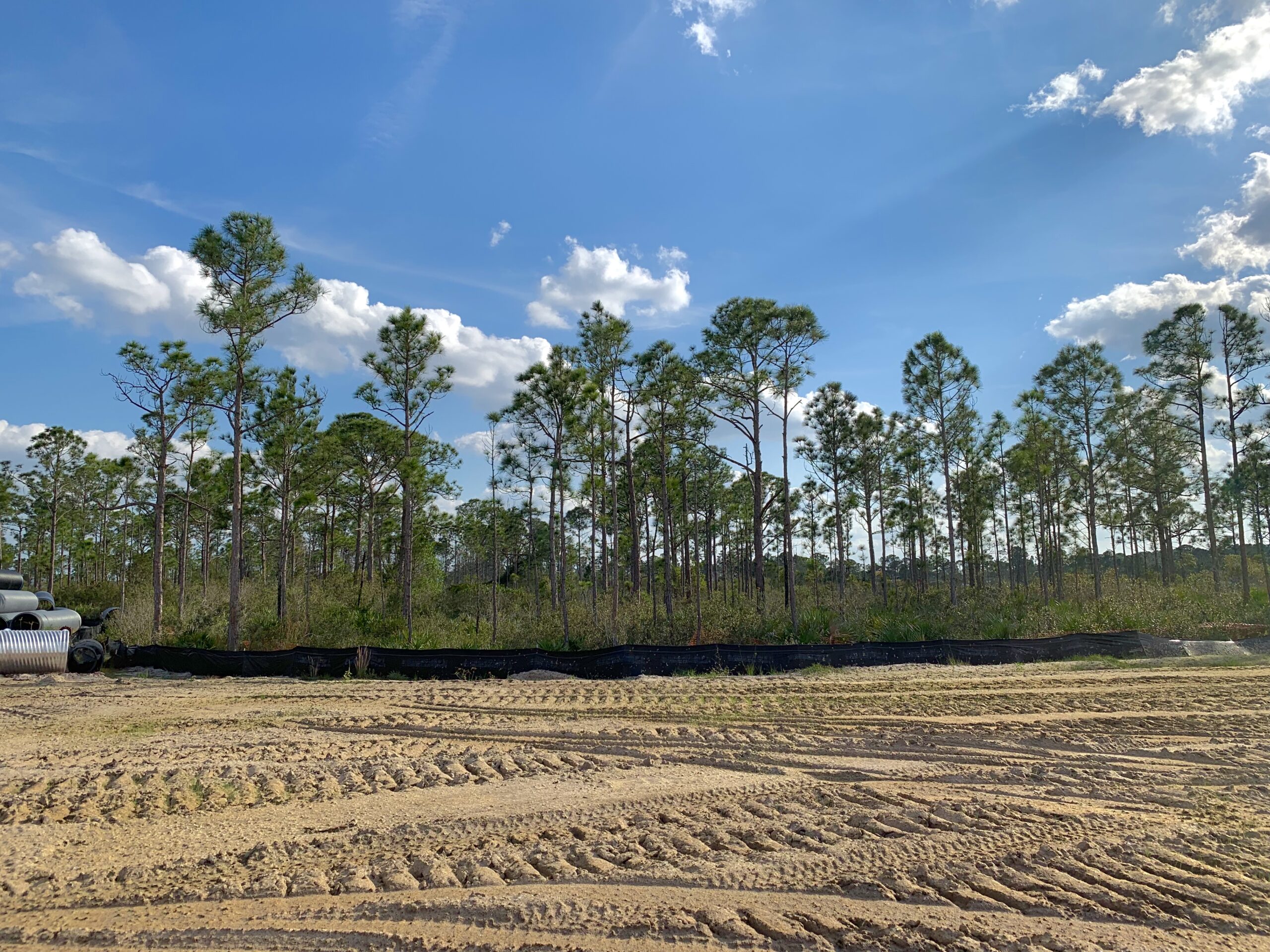 Cleared residential lot ready for construction in Florida